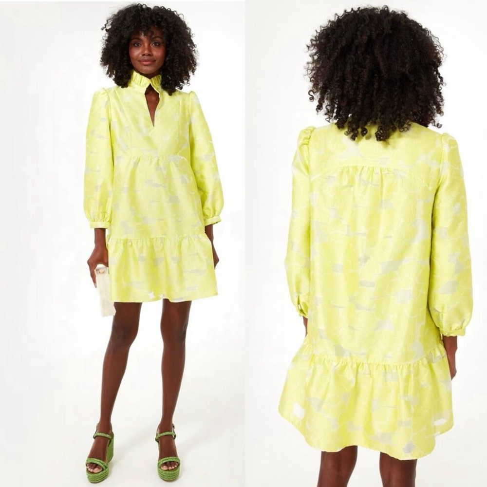TUCKERNUCK Citron Fil Coupe Palmerston Mini Dress. Size XS